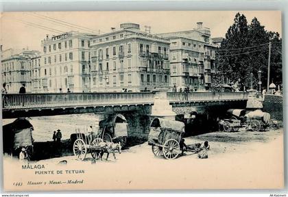 Malaga - Puente de Tetuan - 52230462