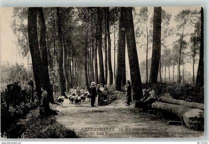 Brakel 1907 - Nederbrakel - 10353967