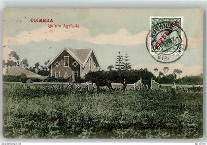 Coimbra - Quinta Agricola - 13481301