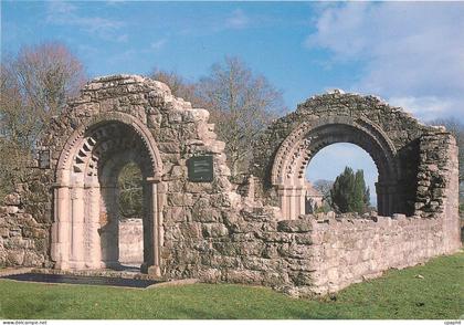 CPM Clonmacnois Co Offaly Nun's Church