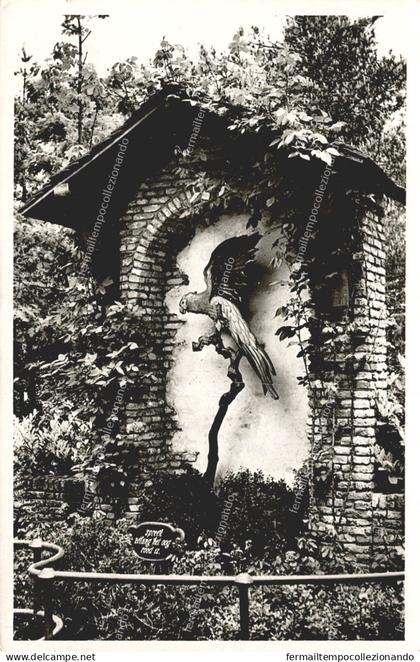 dg454 cartolina cpa natuurpark,de efteling,kaatsheuvel