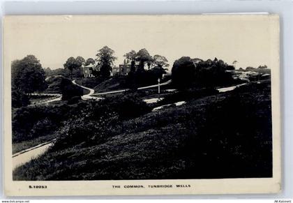 Tunbridge Wells - The Common - 51191627