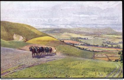 20063347 - Wilmington - Ochsengespann