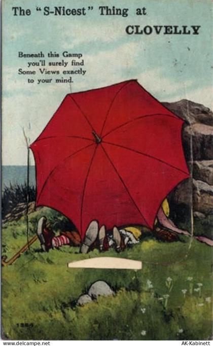 Clovelly - Clovelly (Großbritannien) Leporello, ein Päärchen unter`m Sch... - 55119954