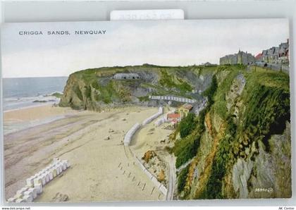 Newquay - 50540885