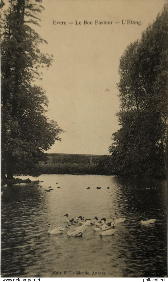 Evere (Bruxelles) Le Bon Pasteur - L' Etang 19??