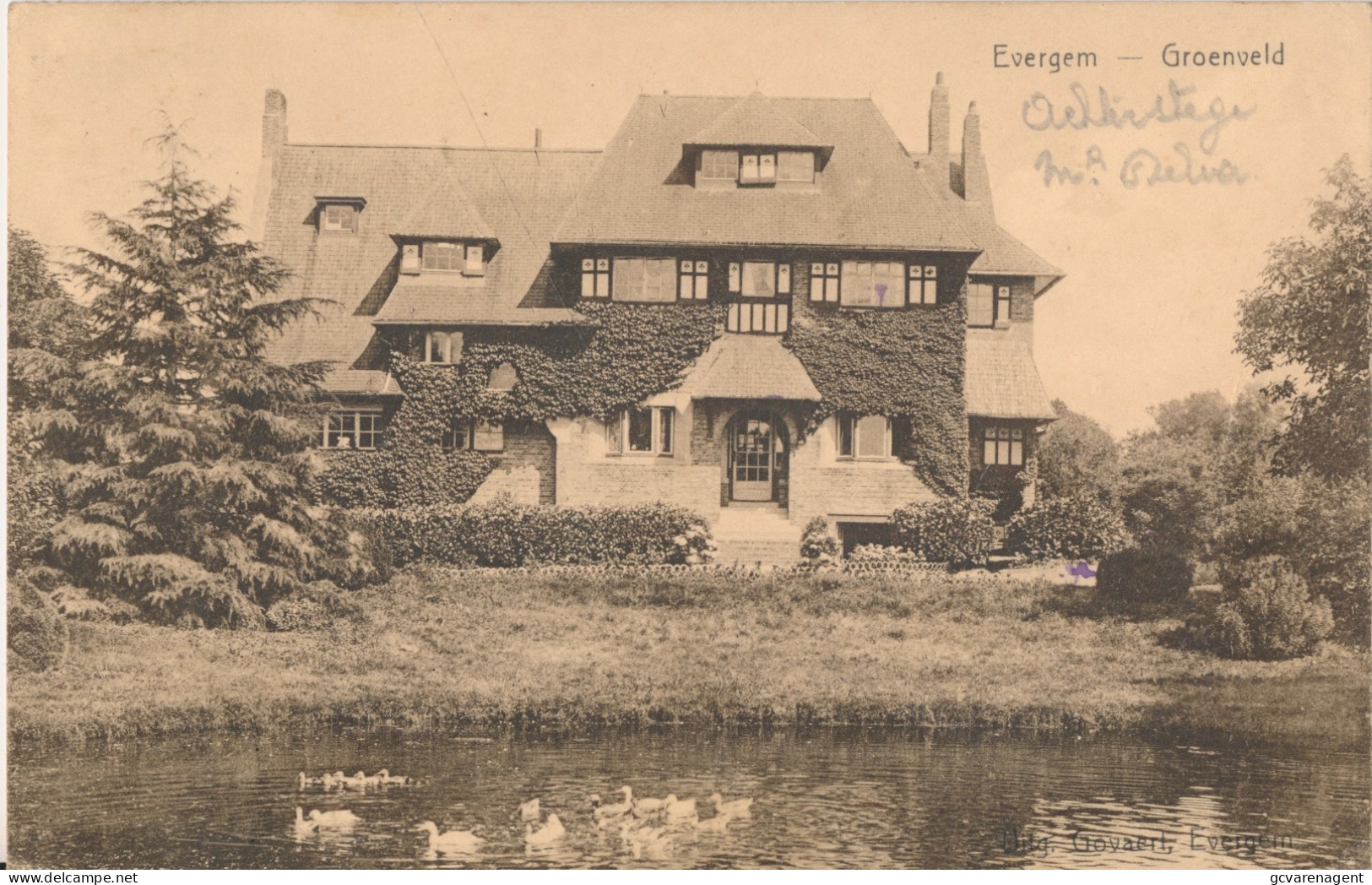 EVERGEM          GROENVELD