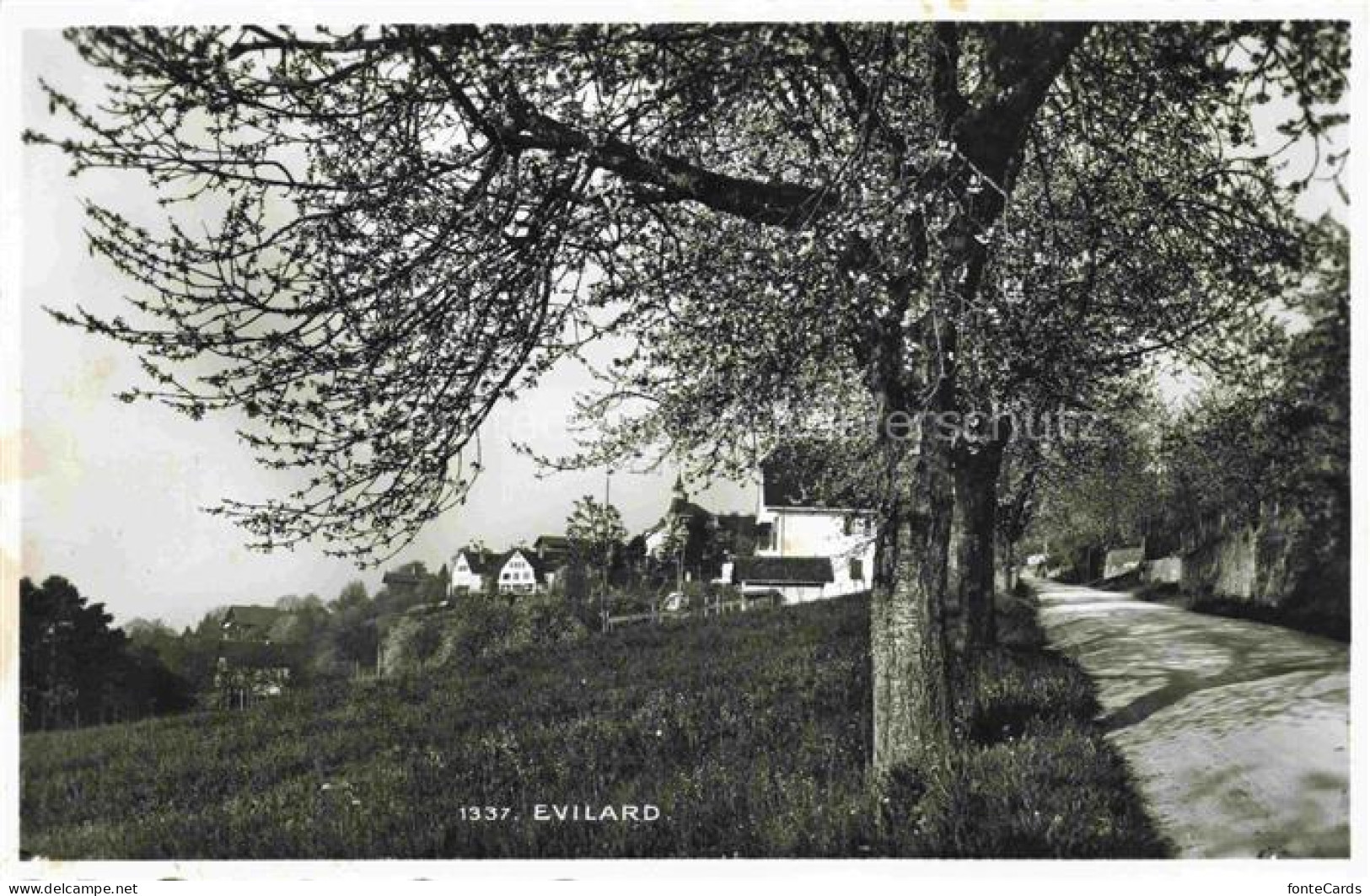 Evilard-sur-Bienne Evilard-Leubringen Biel BE Vue partielle