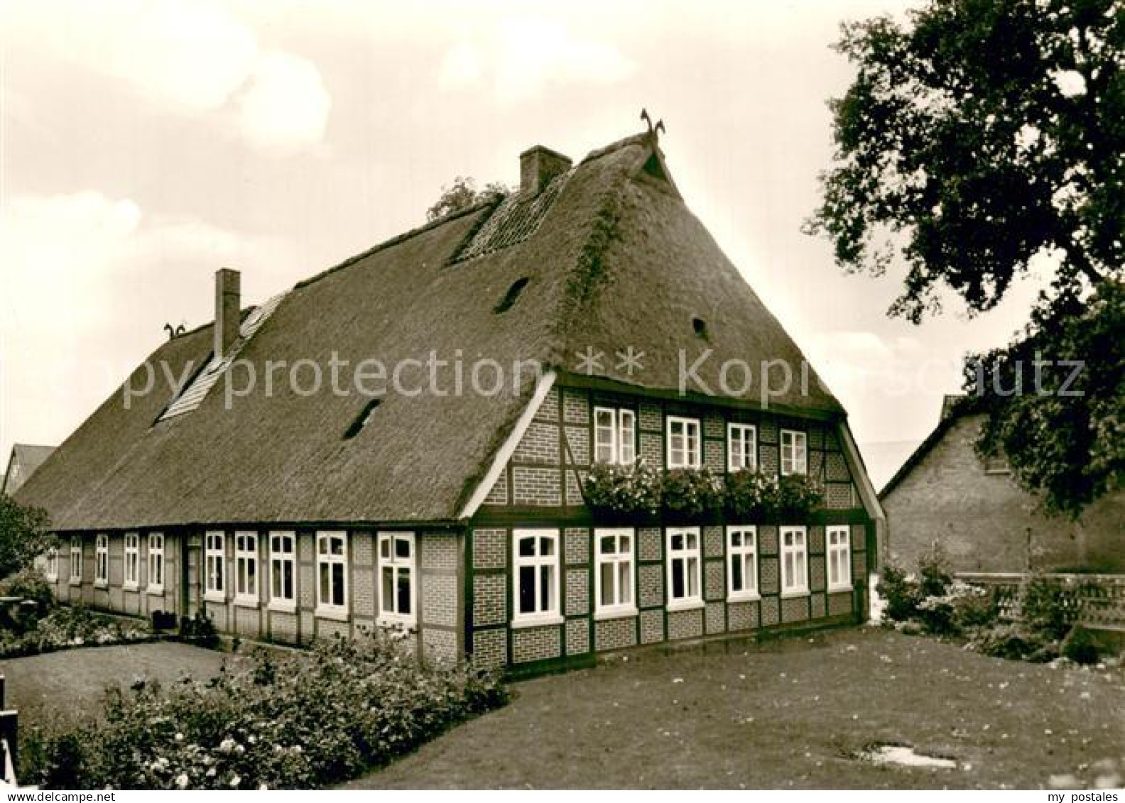 Eyendorf Lueneburger Heide Lueneburger Heide Haus