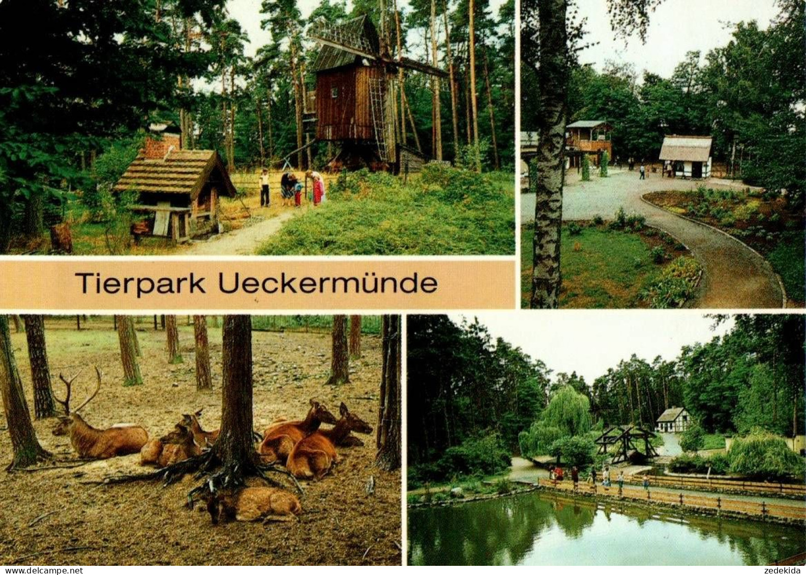 F6426 - TOP Ückermünde Tierpark Zoo - Verlag Bild und Heimat Reichenbach