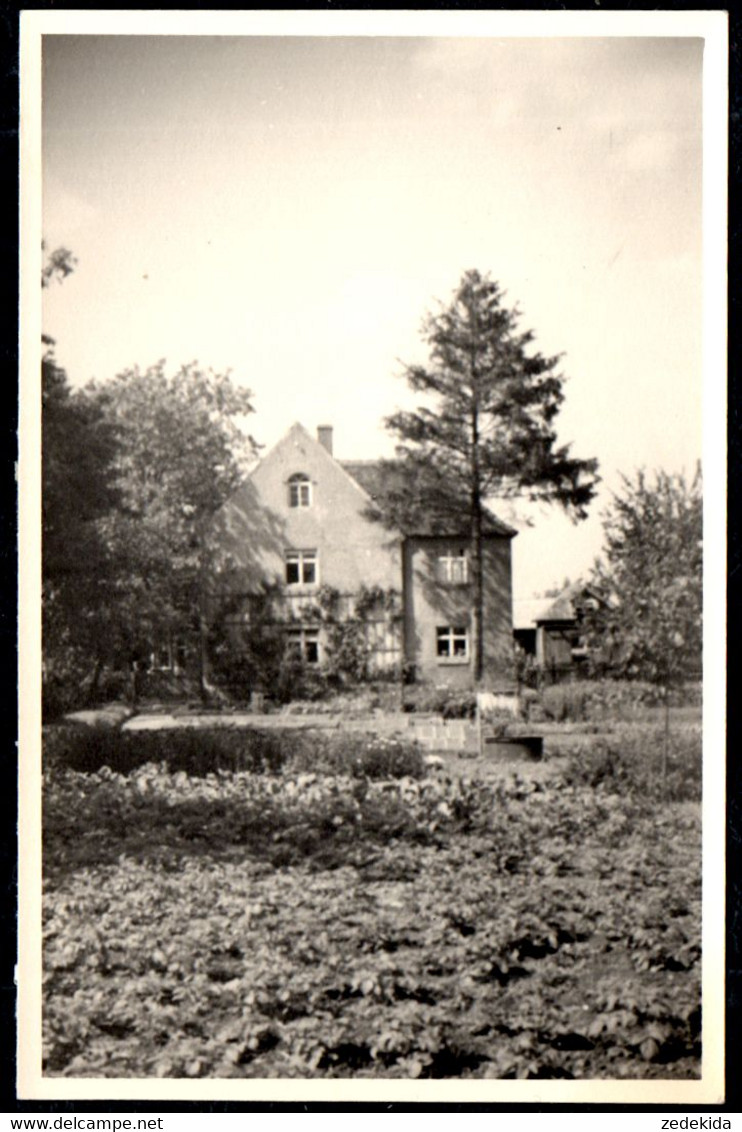 F7101 - Döbeln - Photo Optik