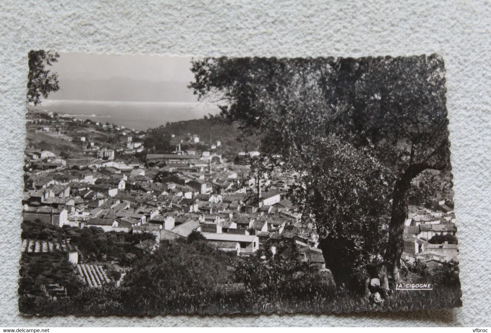 F831, Cpsm 1957, Vallauris, vue générale, Alpes maritimes 06