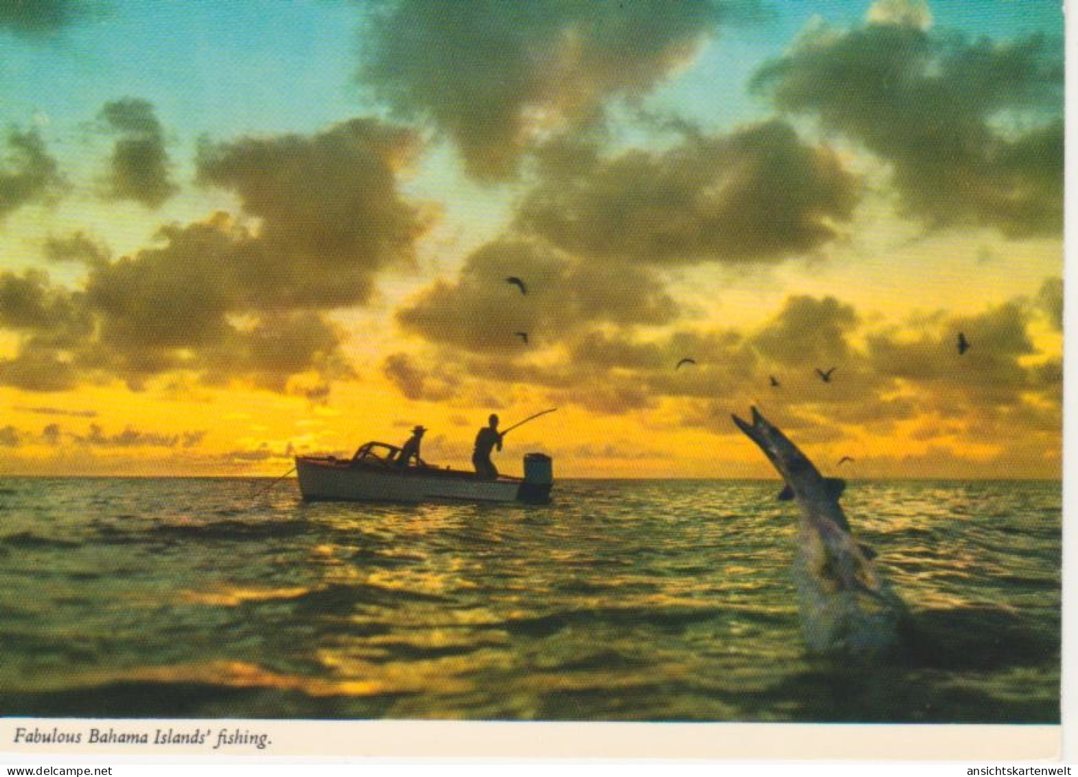 Fabulous Bahama Islands' fishing ngl #218.368