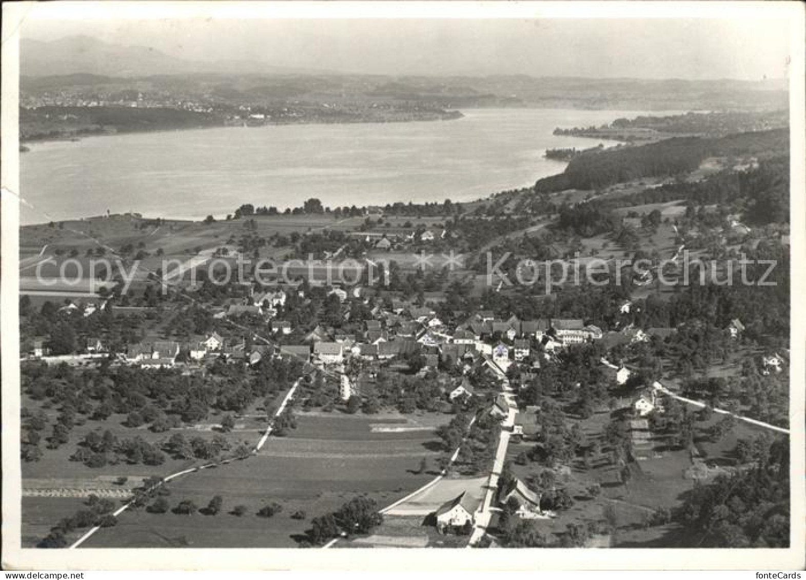 Faellanden Fliegeraufnahme mit Greifensee