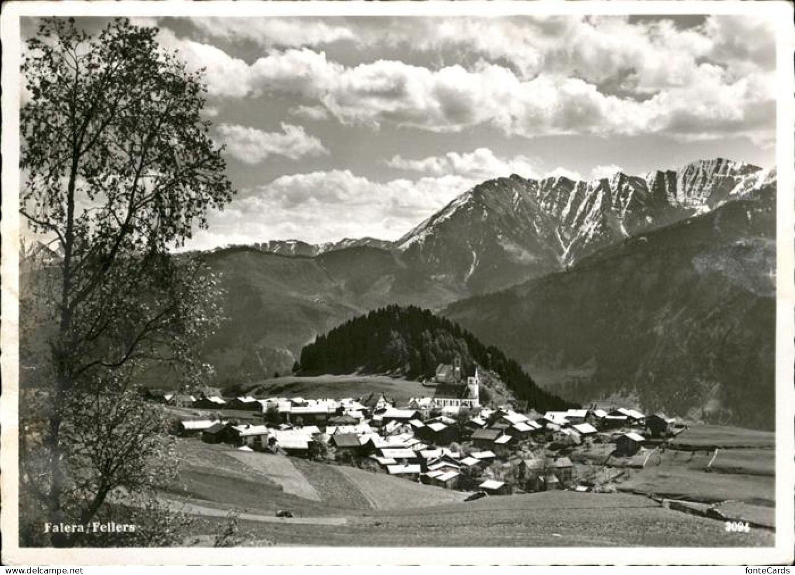 Falera