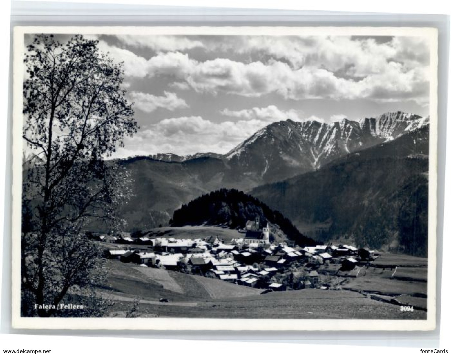 Falera