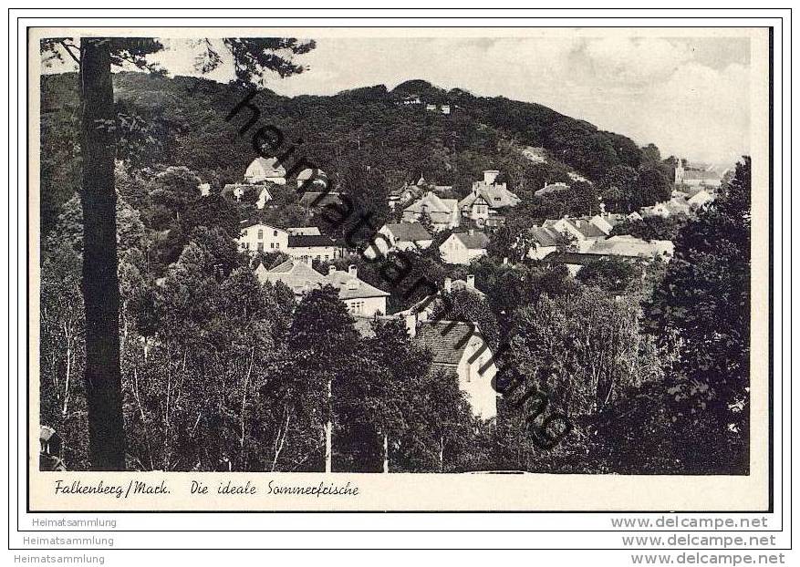 Falkenberg - Dächerpanorama