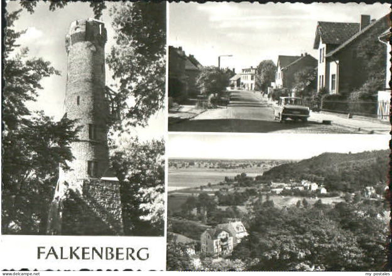 Falkenberg Mark