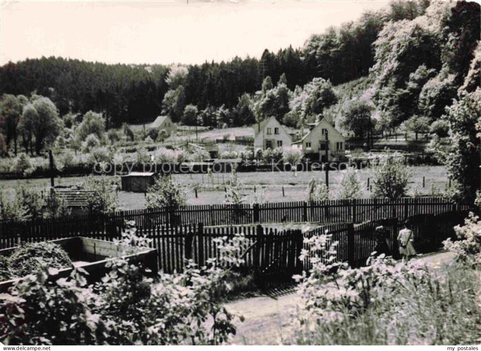 Falkenberg Mark Brandenburg Luftkurort Wohnhaeuser Garten Zaun Wald DDR-Fotokart