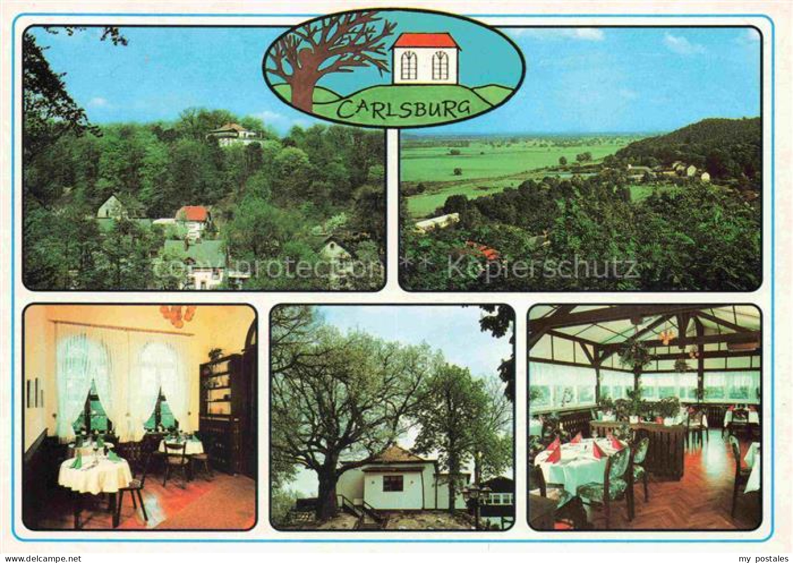 Falkenberg Mark Brandenburg Restaurant-Cafe-Carlsburg Freiterrasse Rundblick Fla
