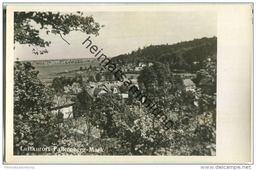 Falkenberg Mark - Foto-Ansichtskarte - Verlag Falke-Foto Falkenberg