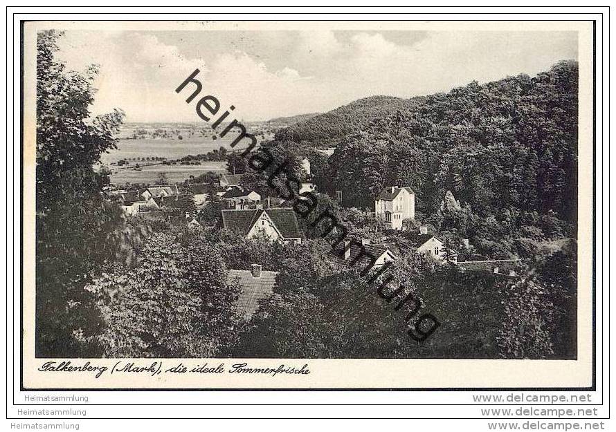 Falkenberg - Panorama