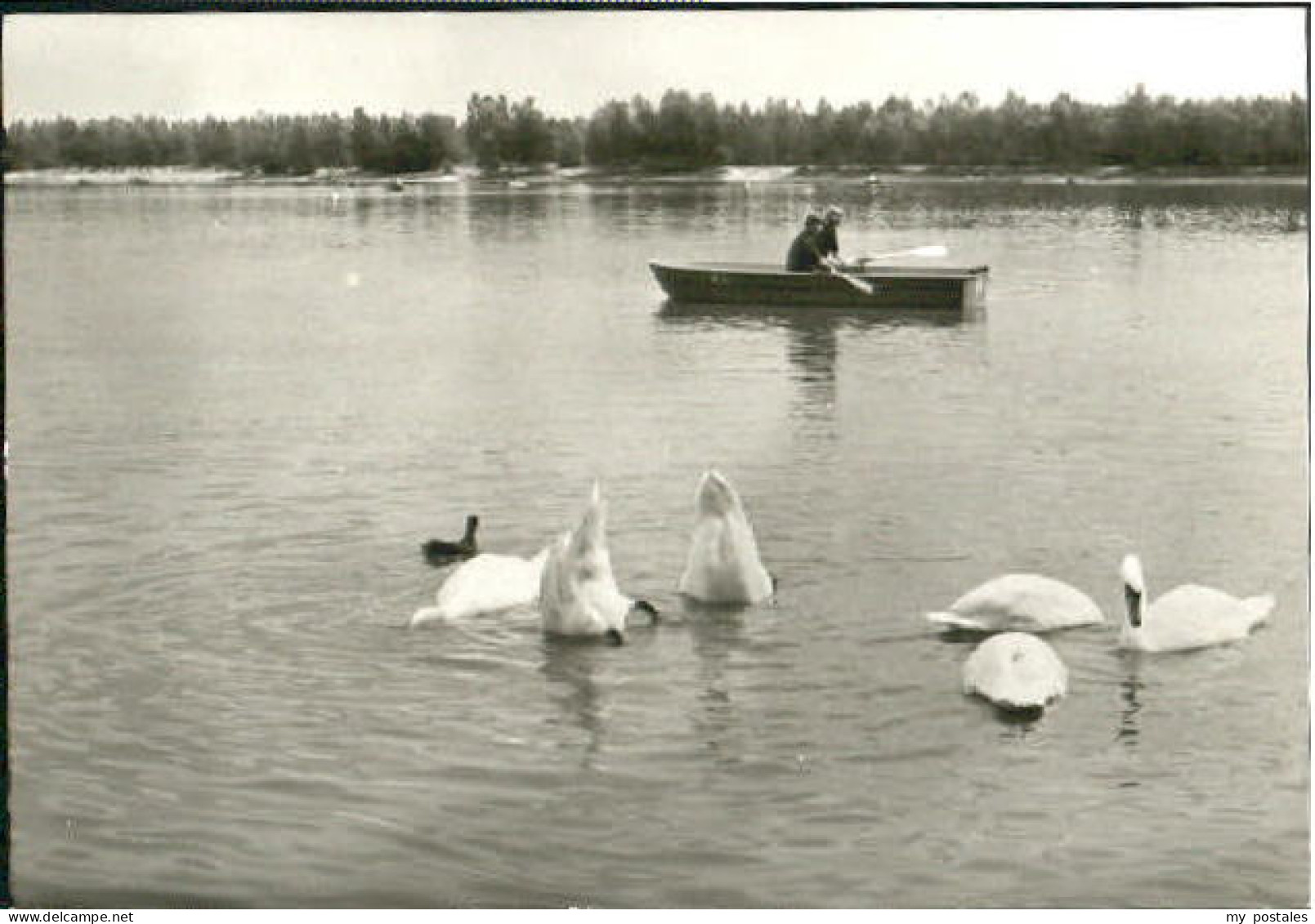 Falkensee See x 1979