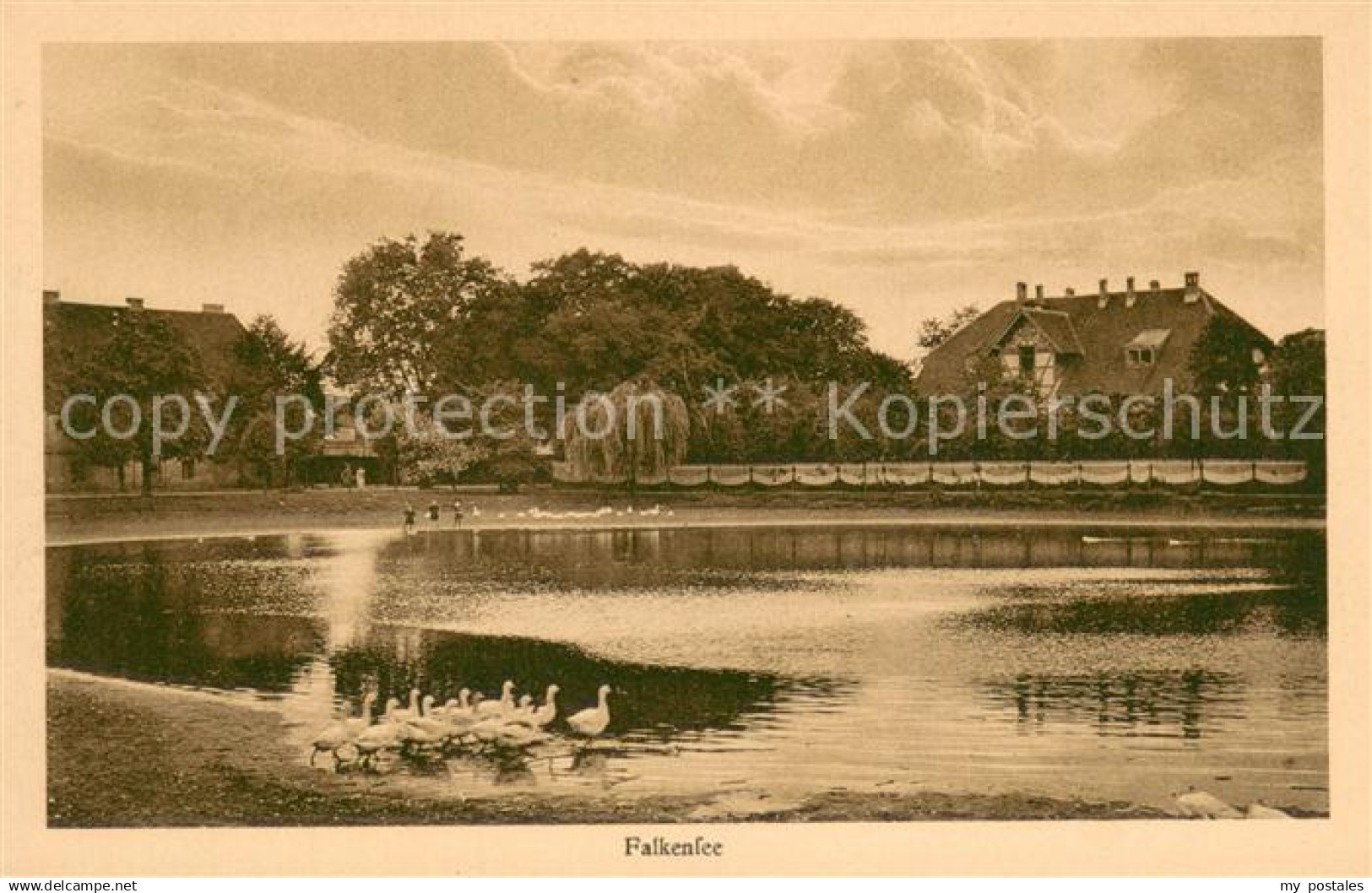 Falkensee Uferpartie am See Wasservoegel