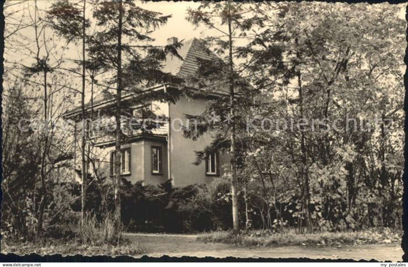 Falkenstein Vogtland Heimat Zoo Verwaltung