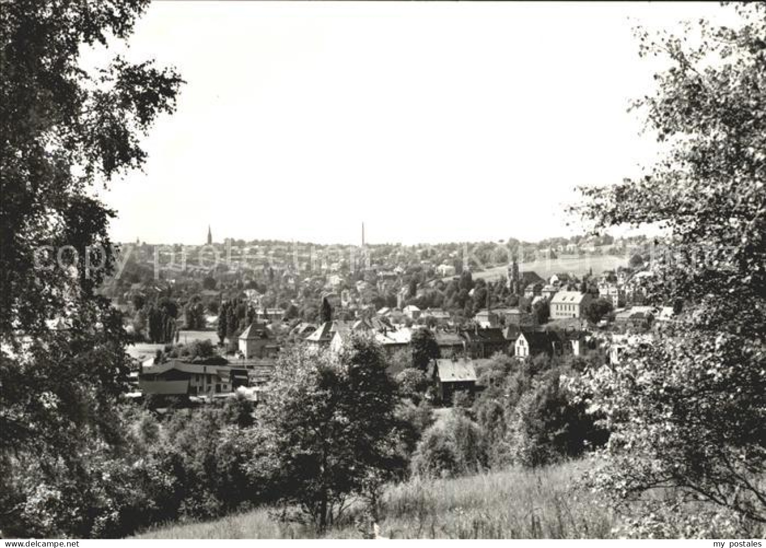 Falkenstein Vogtland Panorama