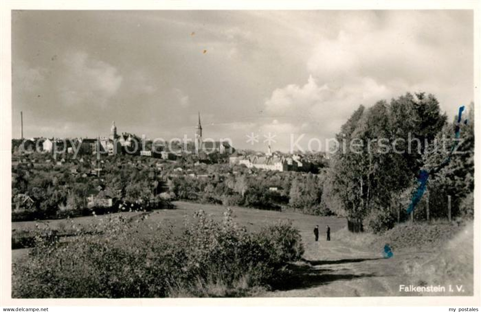 Falkenstein Vogtland Panorama