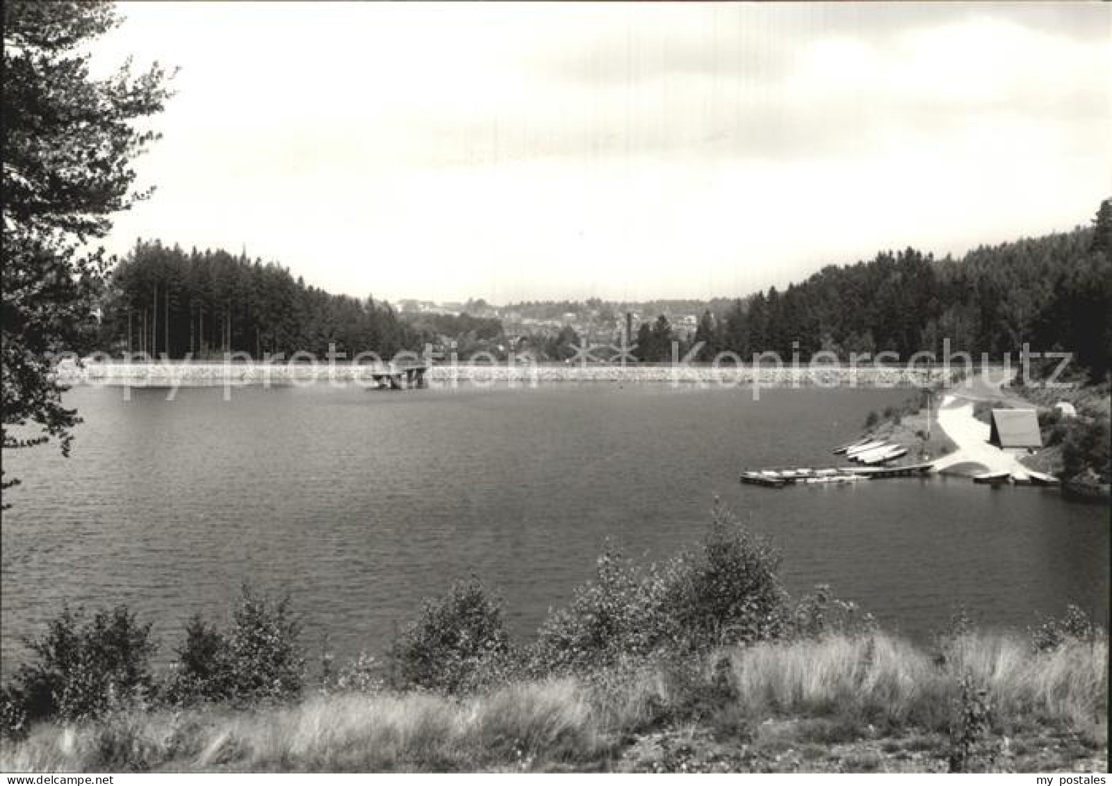 Falkenstein Vogtland See Panorama
