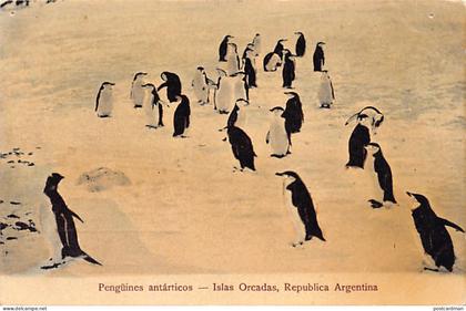 Falklands - SOUTH ORKNEY ISLANDS Islas Orcadas del Sur - Pingüinos antárticos - Antarctic penguins - Publisher R. Rosaue