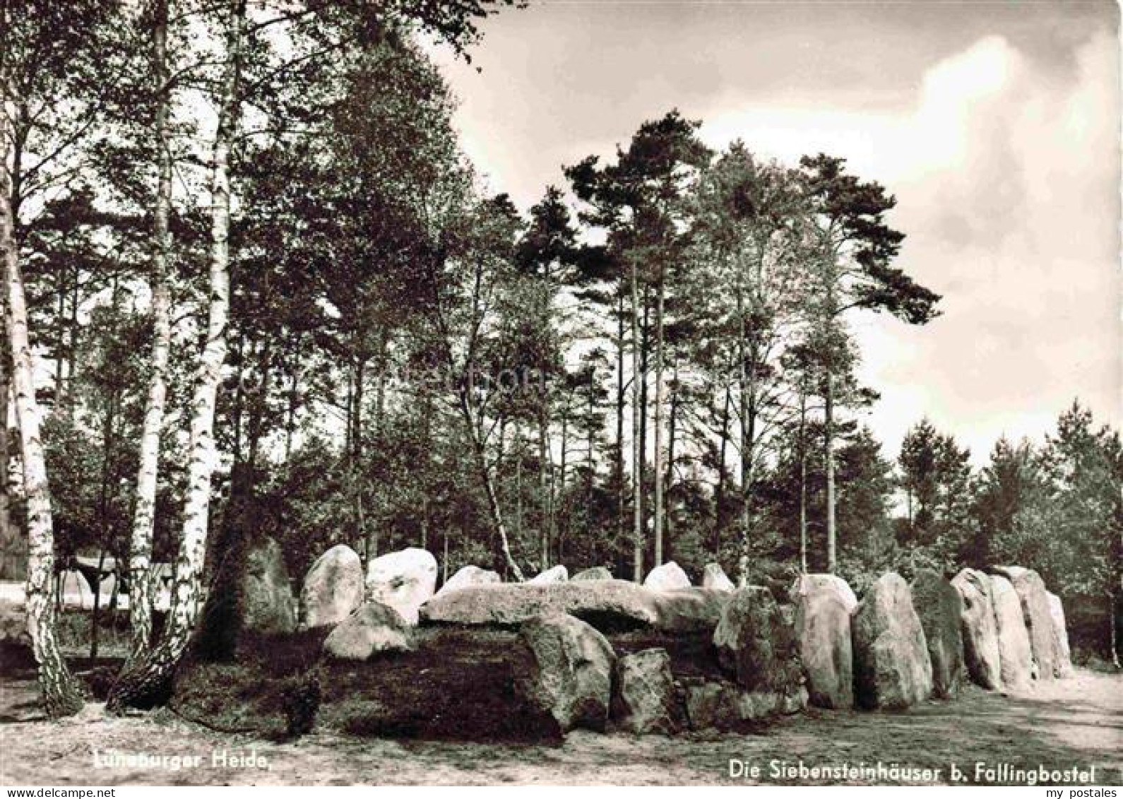 Fallingbostel Bad Soltau-Fallingbostel Niedersachsen Siebensteinhaeuser Megalith