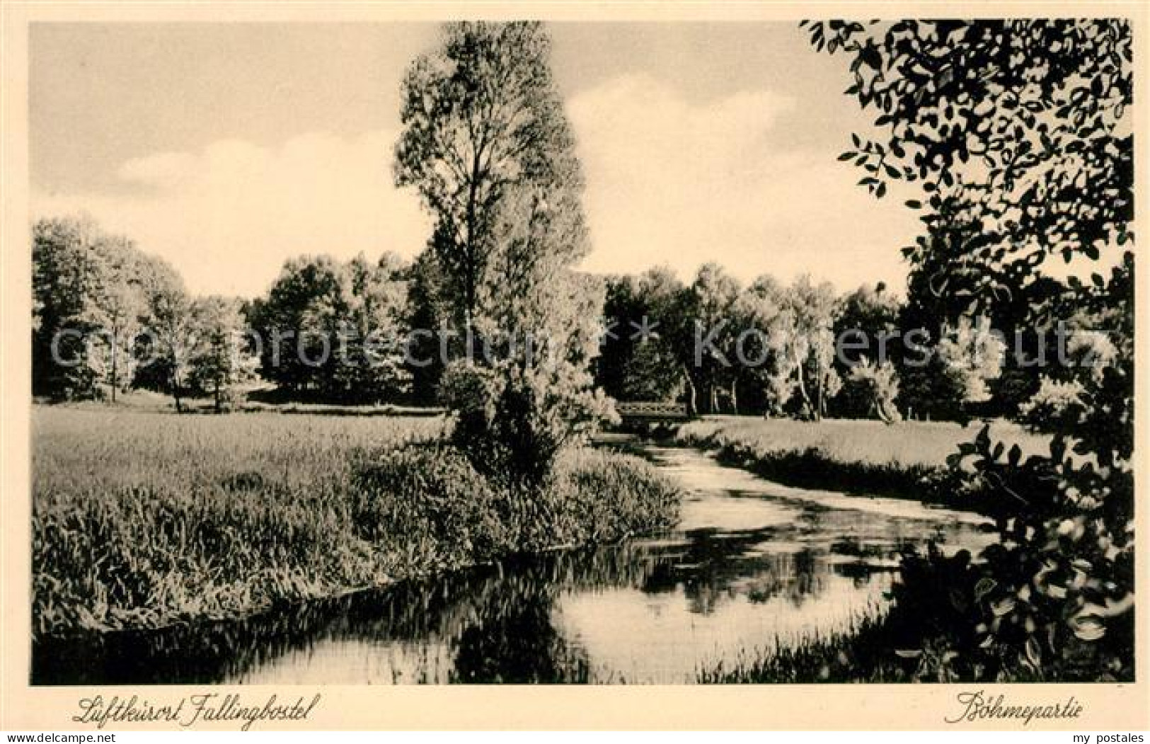 Fallingbostel Boehmepartie