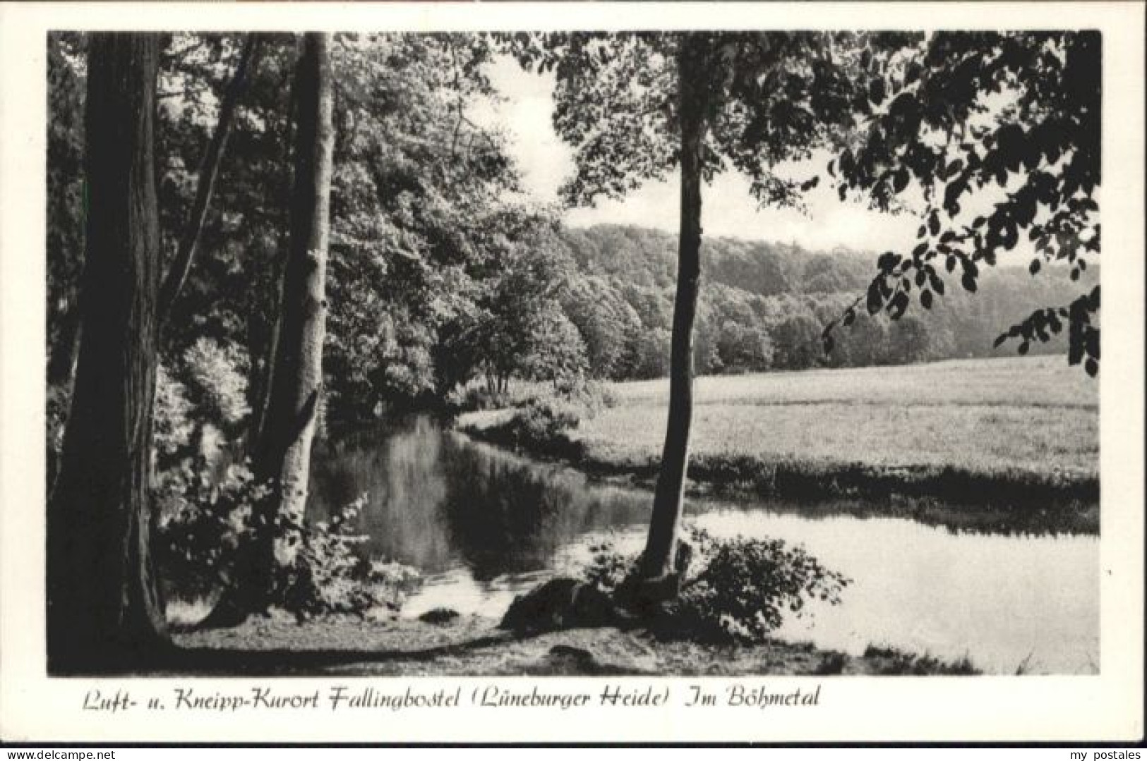 Fallingbostel Boehmertal