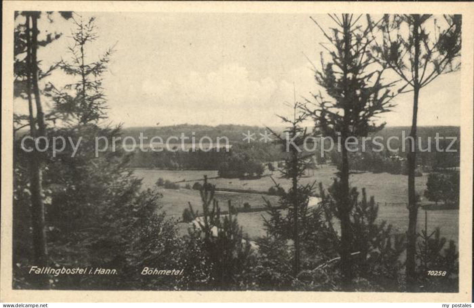 Fallingbostel Boehmetal