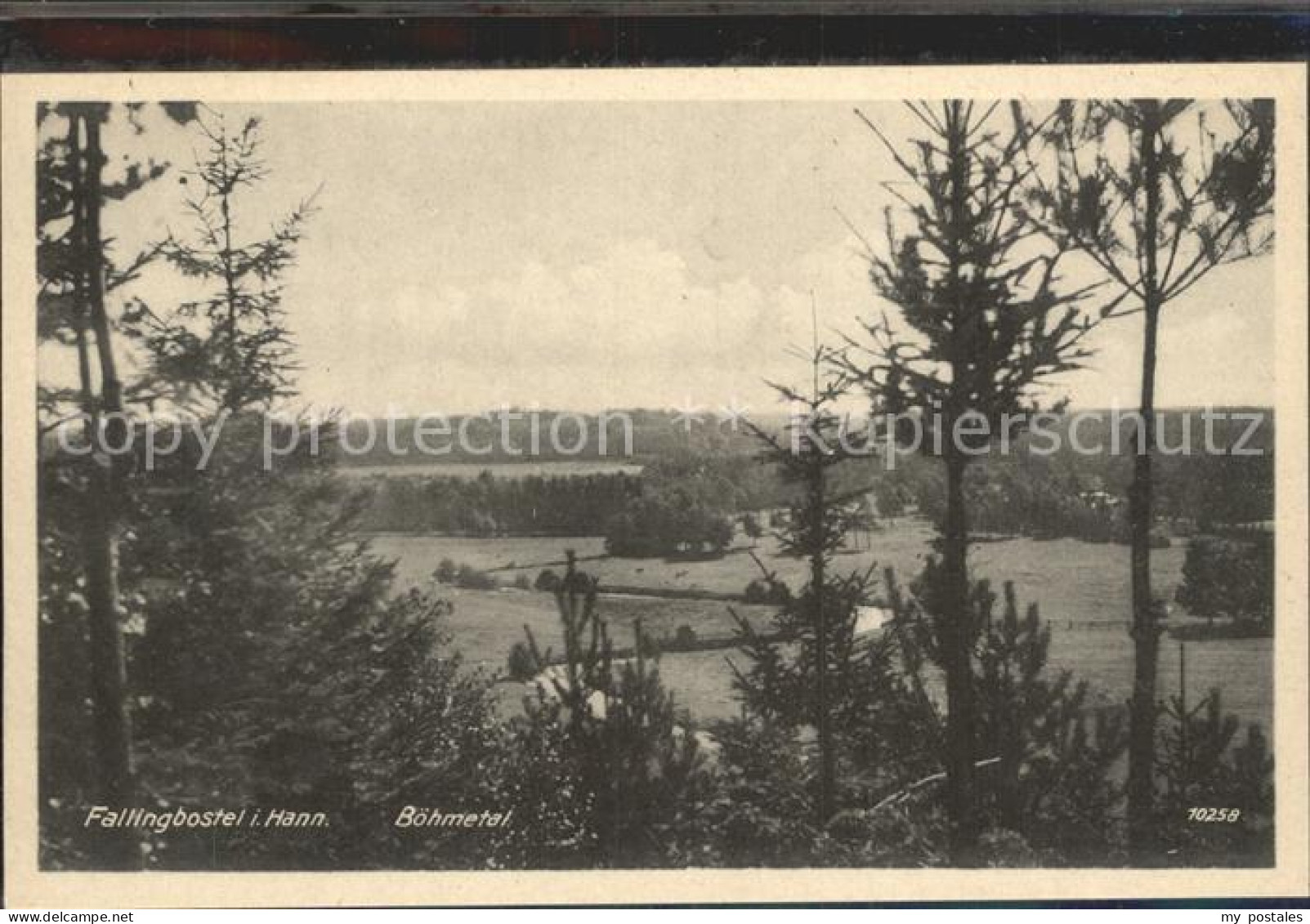 Fallingbostel Boehmetal