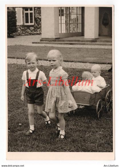 Large postcard / ROYALTY / famille grand-ducale luxembourgeoise / luxemburgische Monarchie / Tony Krier / unused