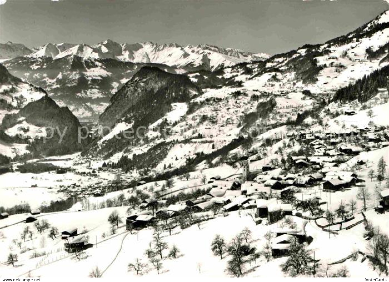 Fanas mit Klus und Graue Hoerner