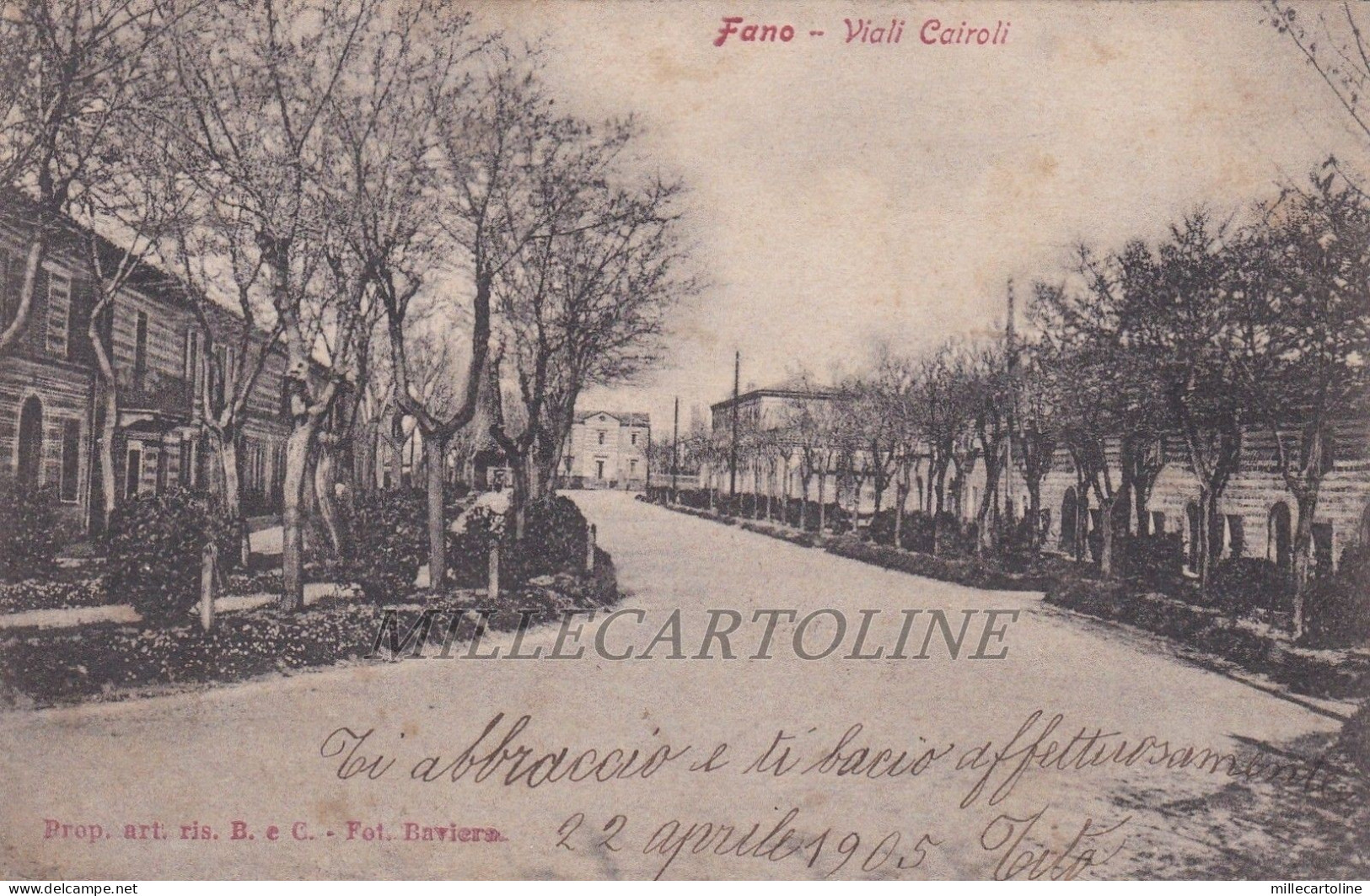 FANO: Viali Cairoli    1905