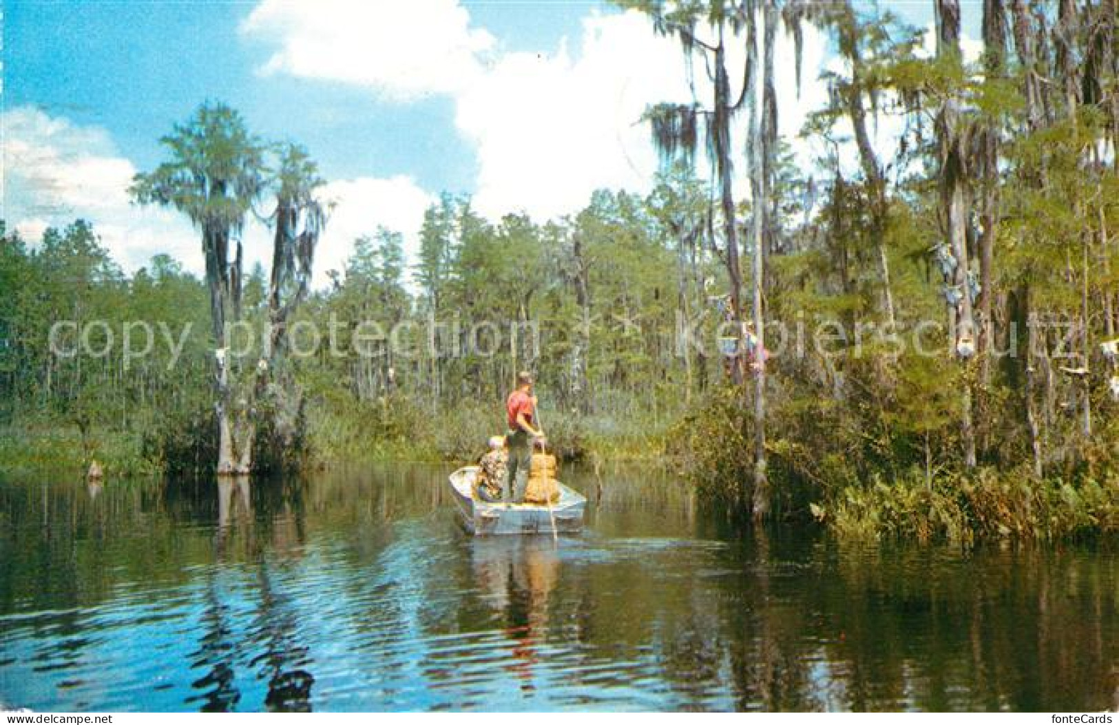 Fargo Georgia Okefenokee Swamp