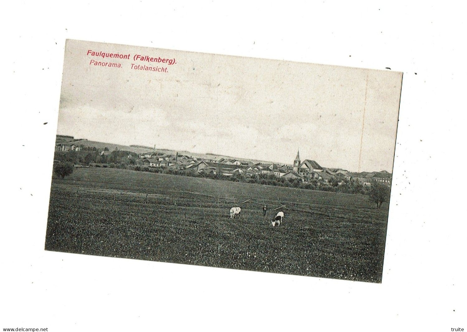 FAULQUEMONT PANORAMA