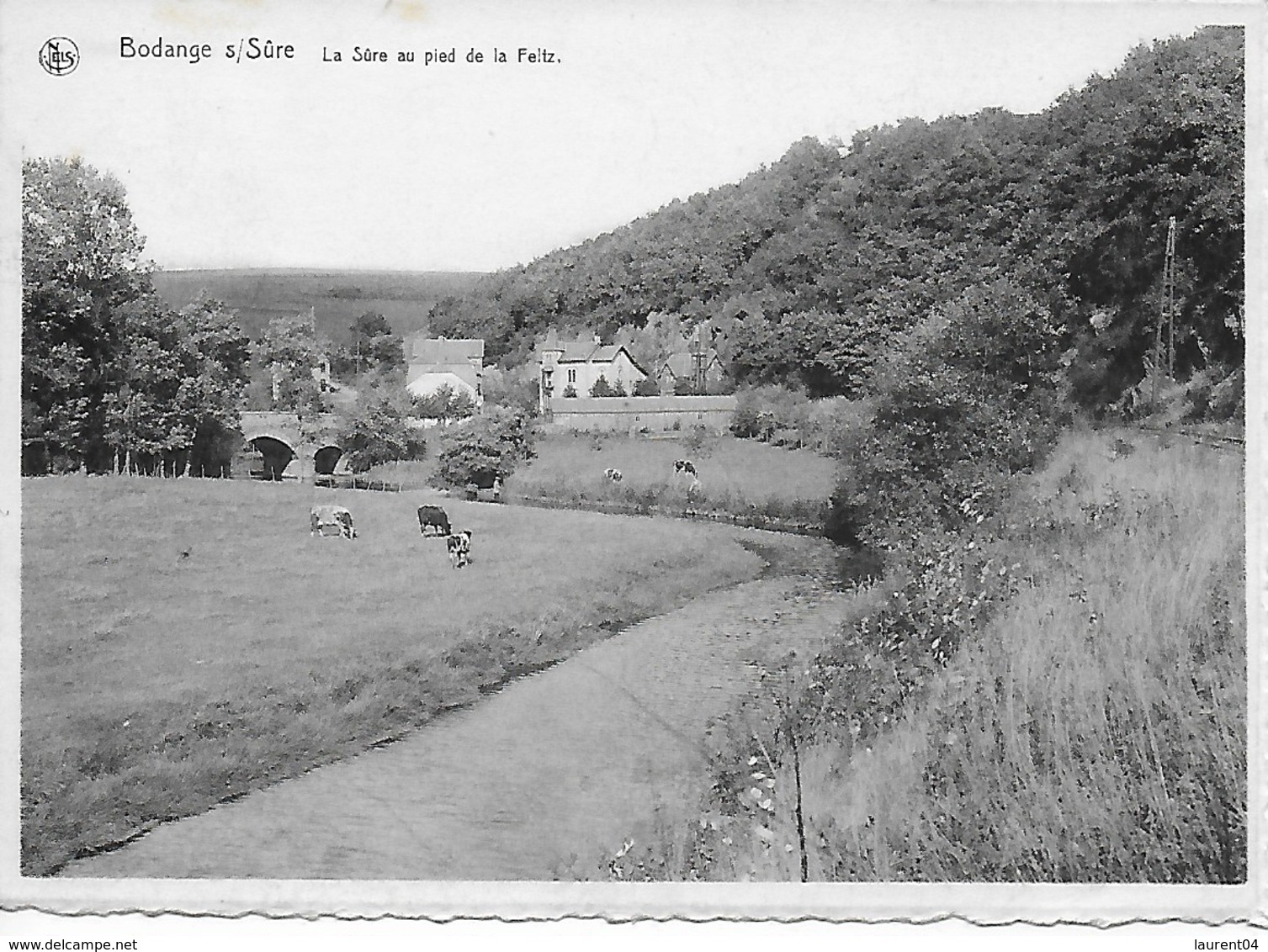 FAUVILLIERS. BODANGE. LA SURE AU PIED DE LA FELTZ.