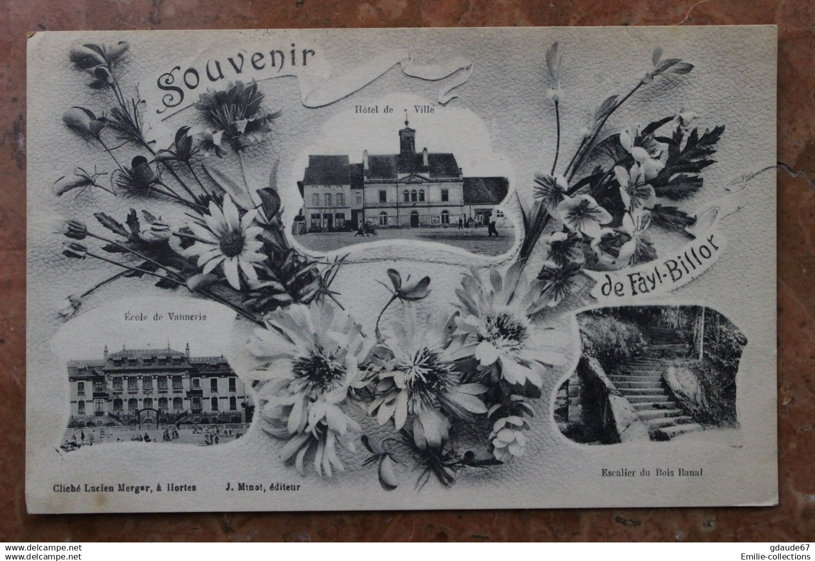 FAYL-BILLOT (52) - SOUVENIR