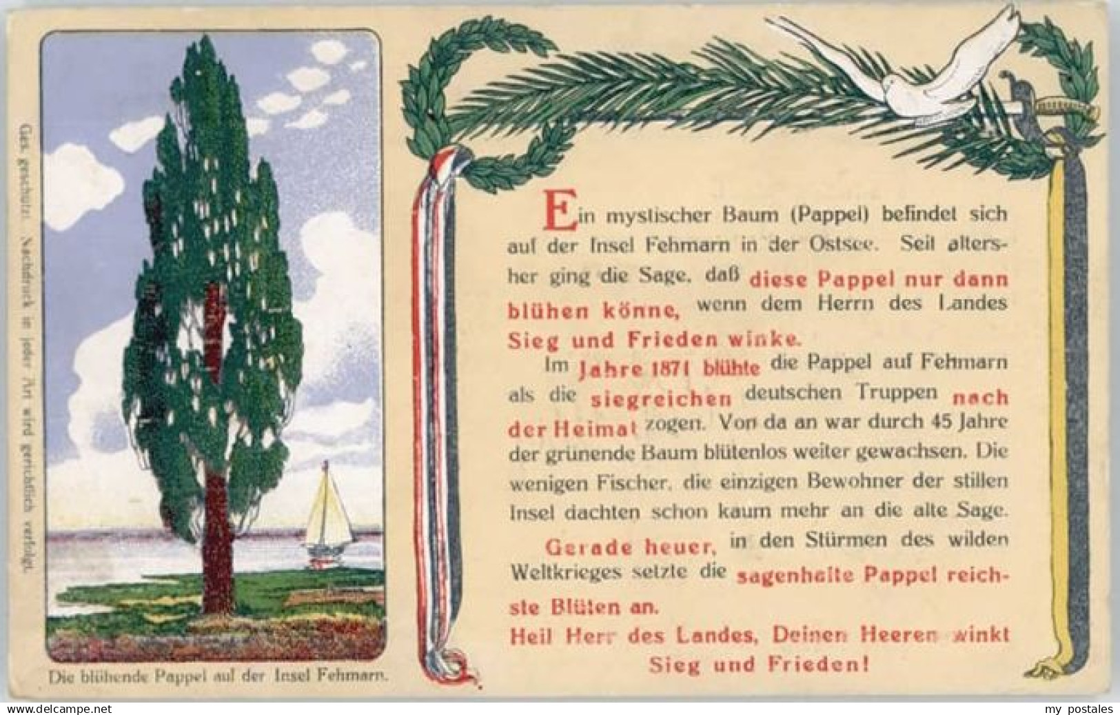 Fehmarn Pappel