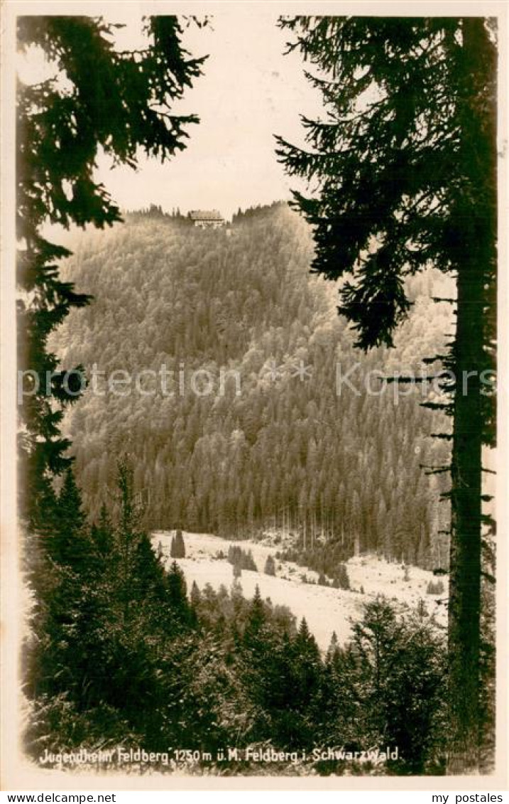 Feldberg 1450m Schwarzwald Jugendheim Feldberg