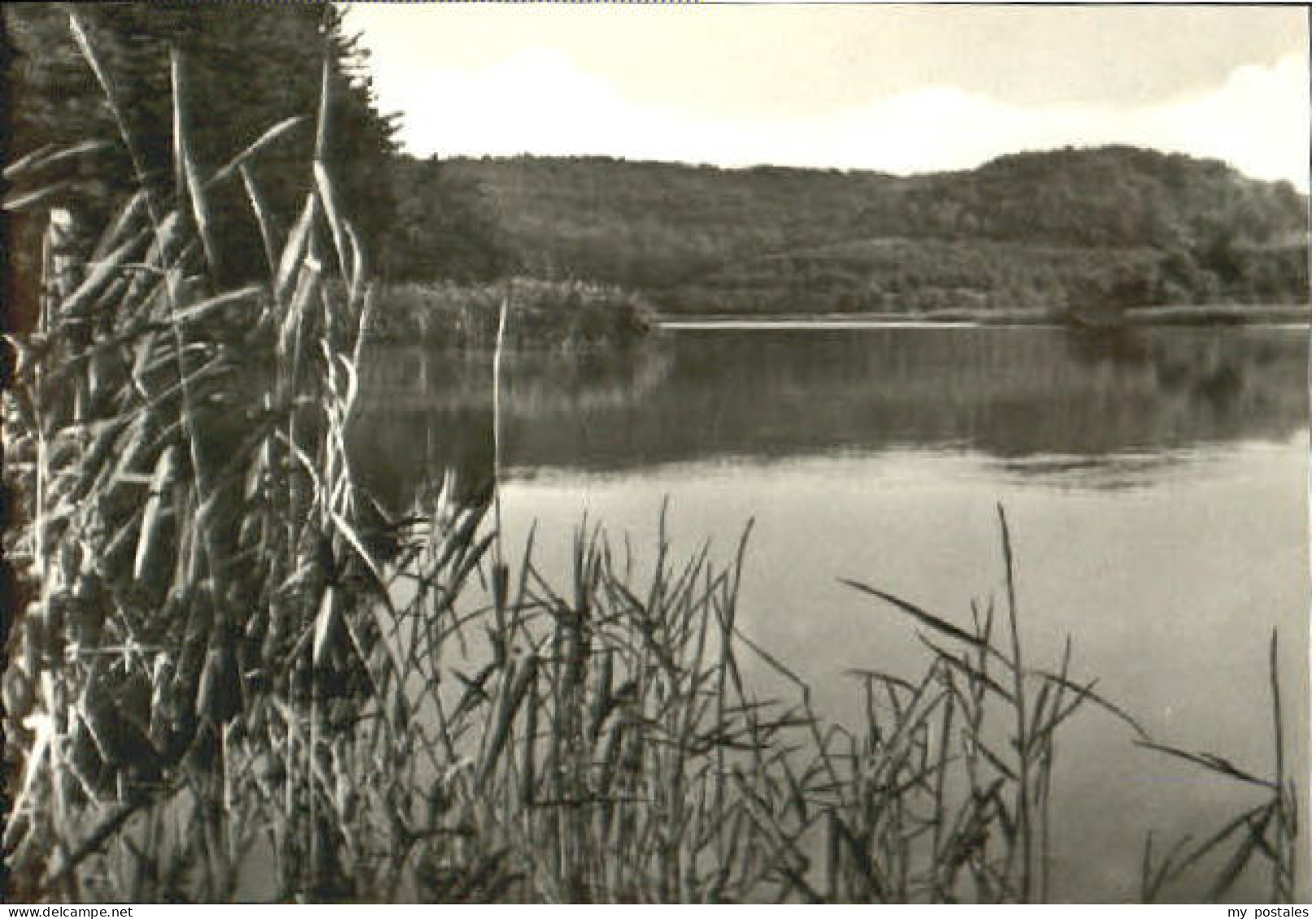 Feldberg Mecklenburg Feldberg Meckl