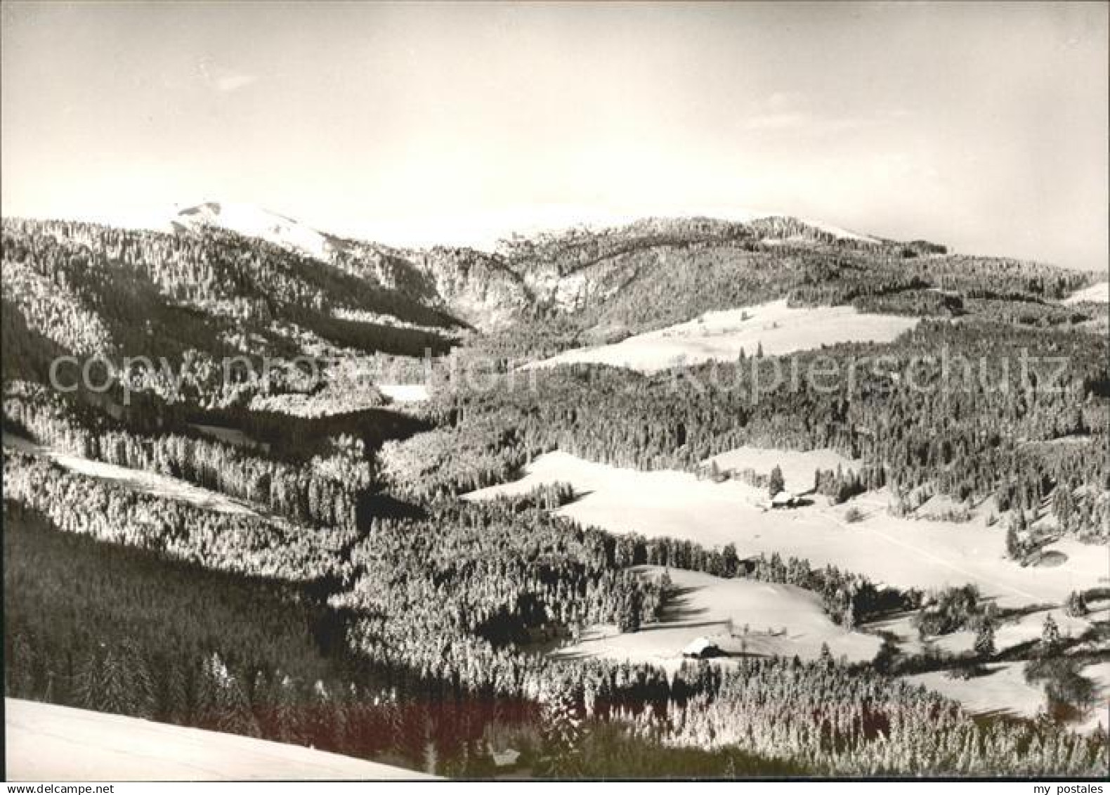 Feldberg Schwarzwald Baerental Blick zum Feldberg