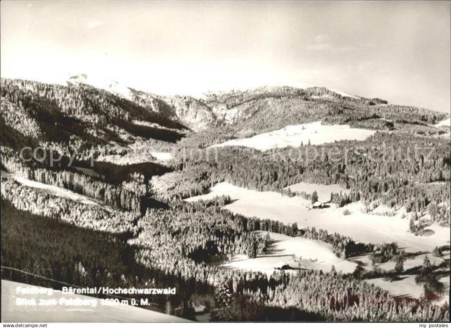 Feldberg Schwarzwald Baerental Blick zum Feldberg